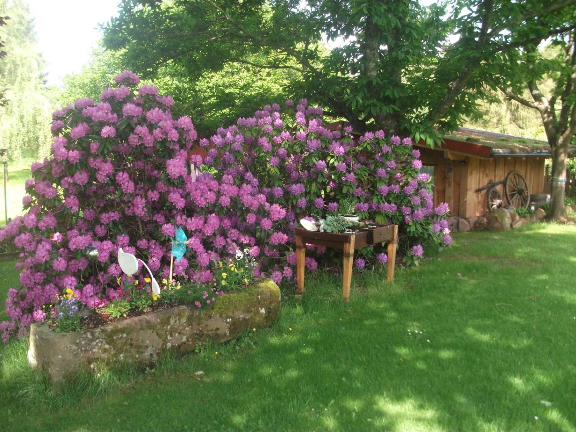 Ferienwohnungen 'Blick Zur Madonna' Fischbach bei Dahn Exterior photo