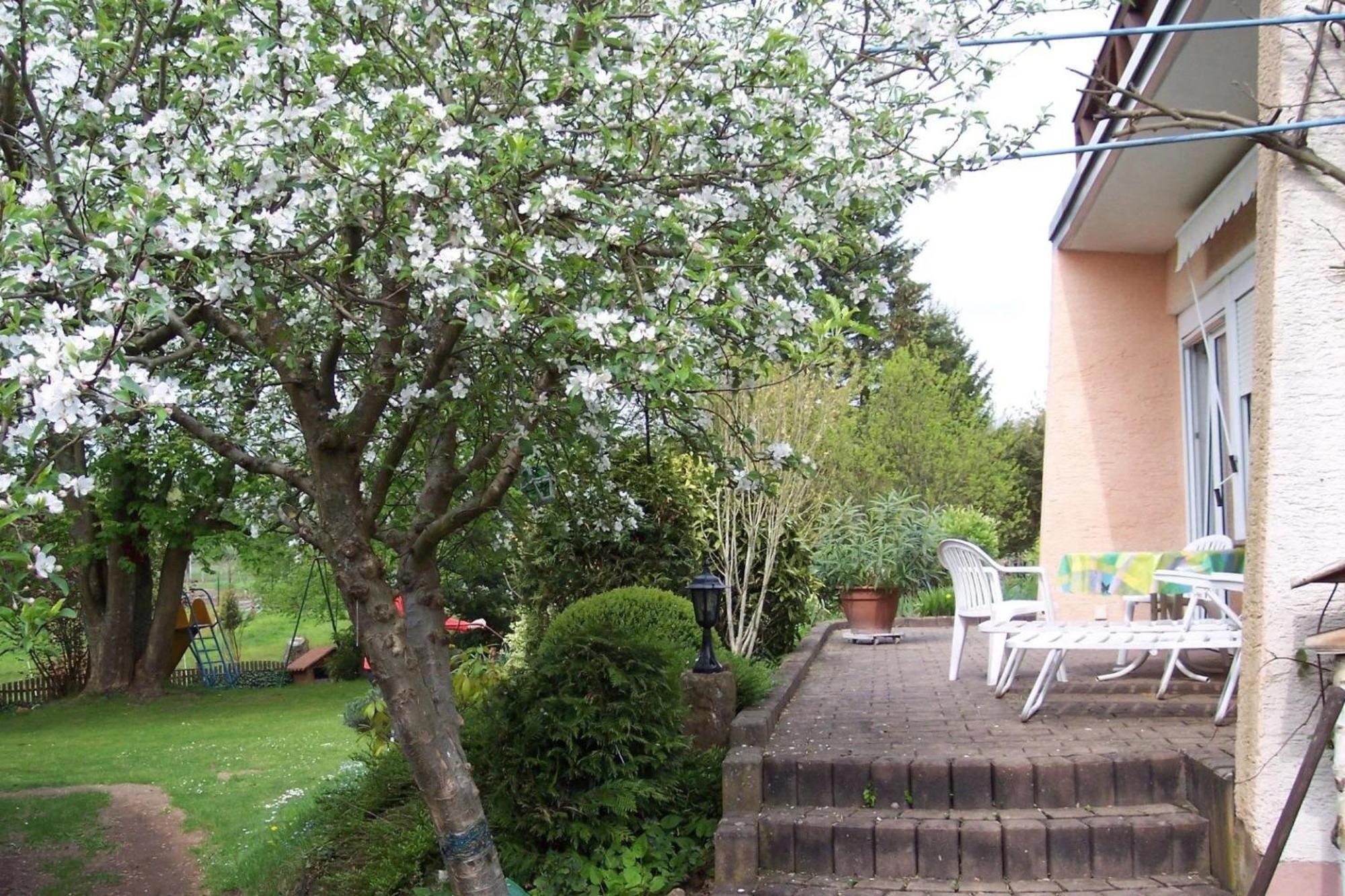 Ferienwohnungen 'Blick Zur Madonna' Fischbach bei Dahn Exterior photo
