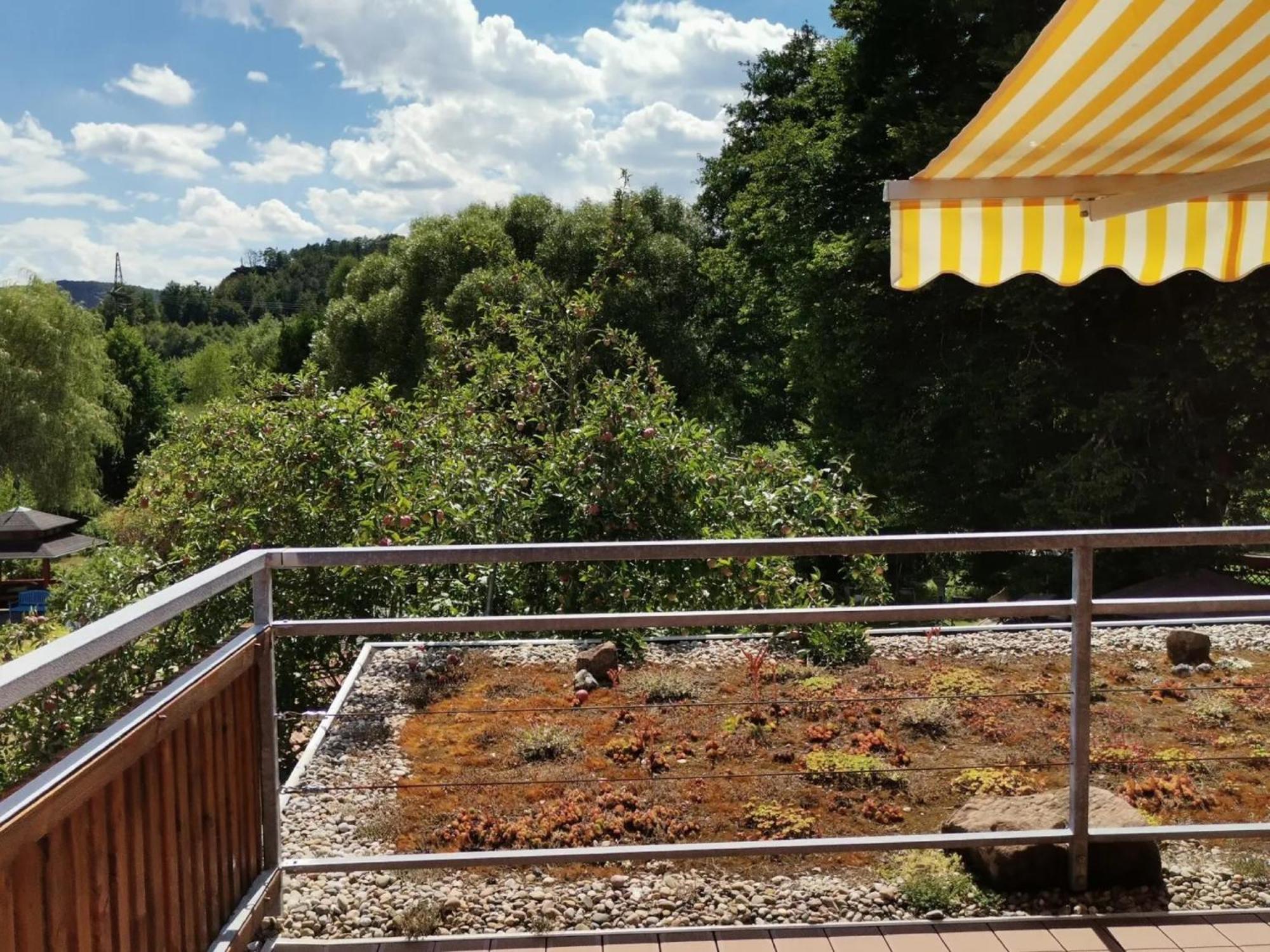 Ferienwohnungen 'Blick Zur Madonna' Fischbach bei Dahn Exterior photo