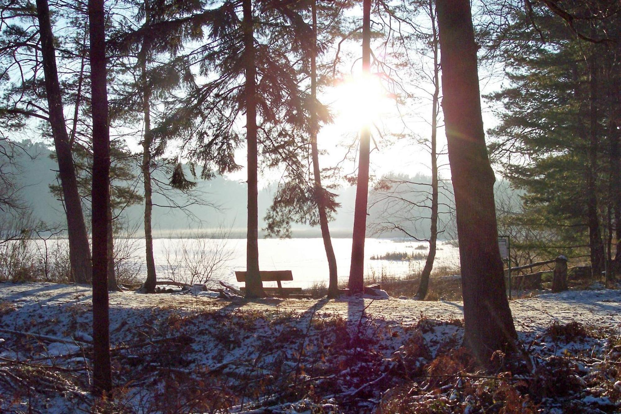 Ferienwohnungen 'Blick Zur Madonna' Fischbach bei Dahn Exterior photo