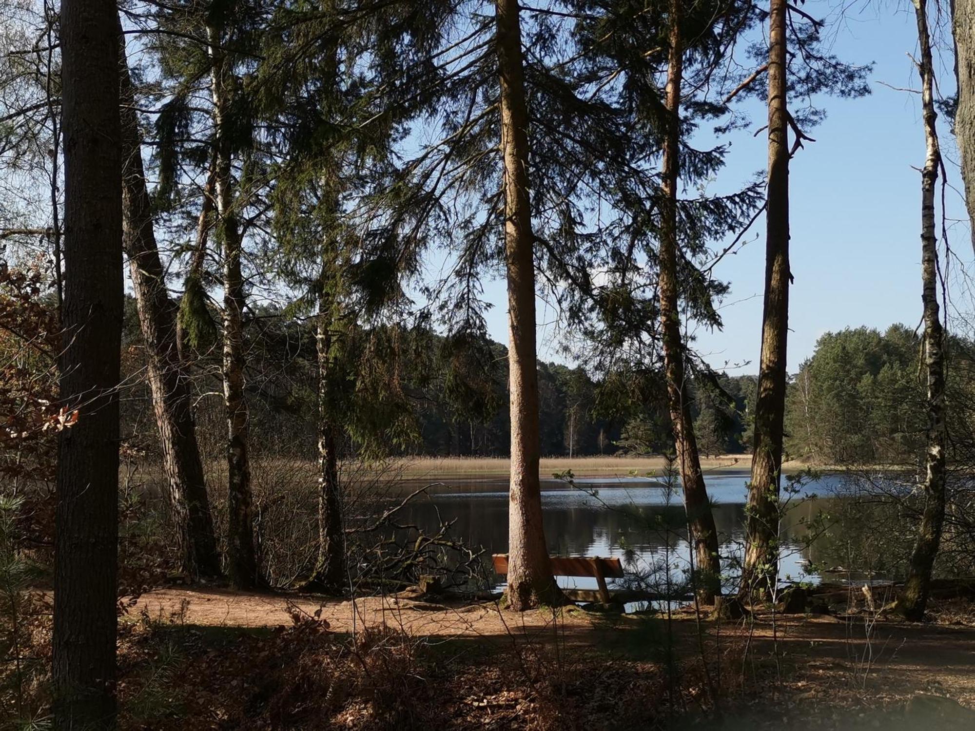 Ferienwohnungen 'Blick Zur Madonna' Fischbach bei Dahn Exterior photo